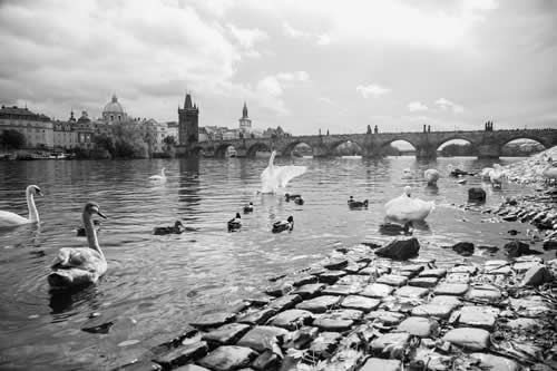 Rio Vitava